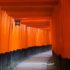 京都"伏見稻荷大社"的魅力和看点,基本信息
